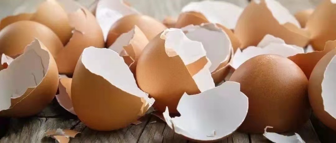 Vol.15从蛋壳爆雷事件,我们能学到什么?